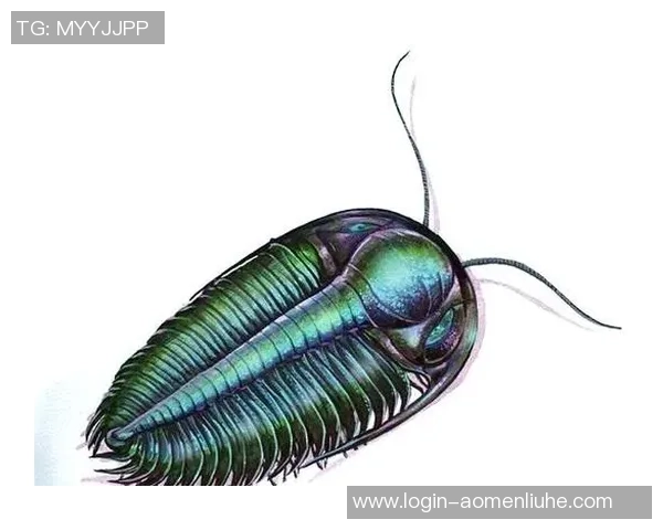 探索奥蓬达的魅力与神秘之旅揭示其背后的历史与文化价值 探索奥蓬达的魅力与神秘之旅揭示其背后的历史与文化价值